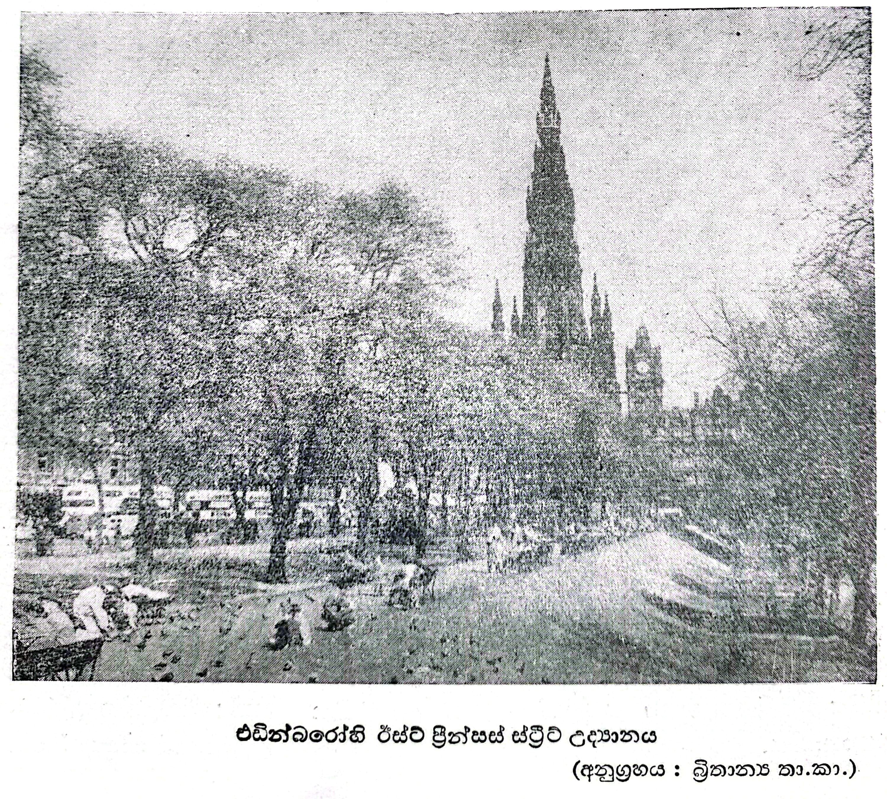 5-254.jpg