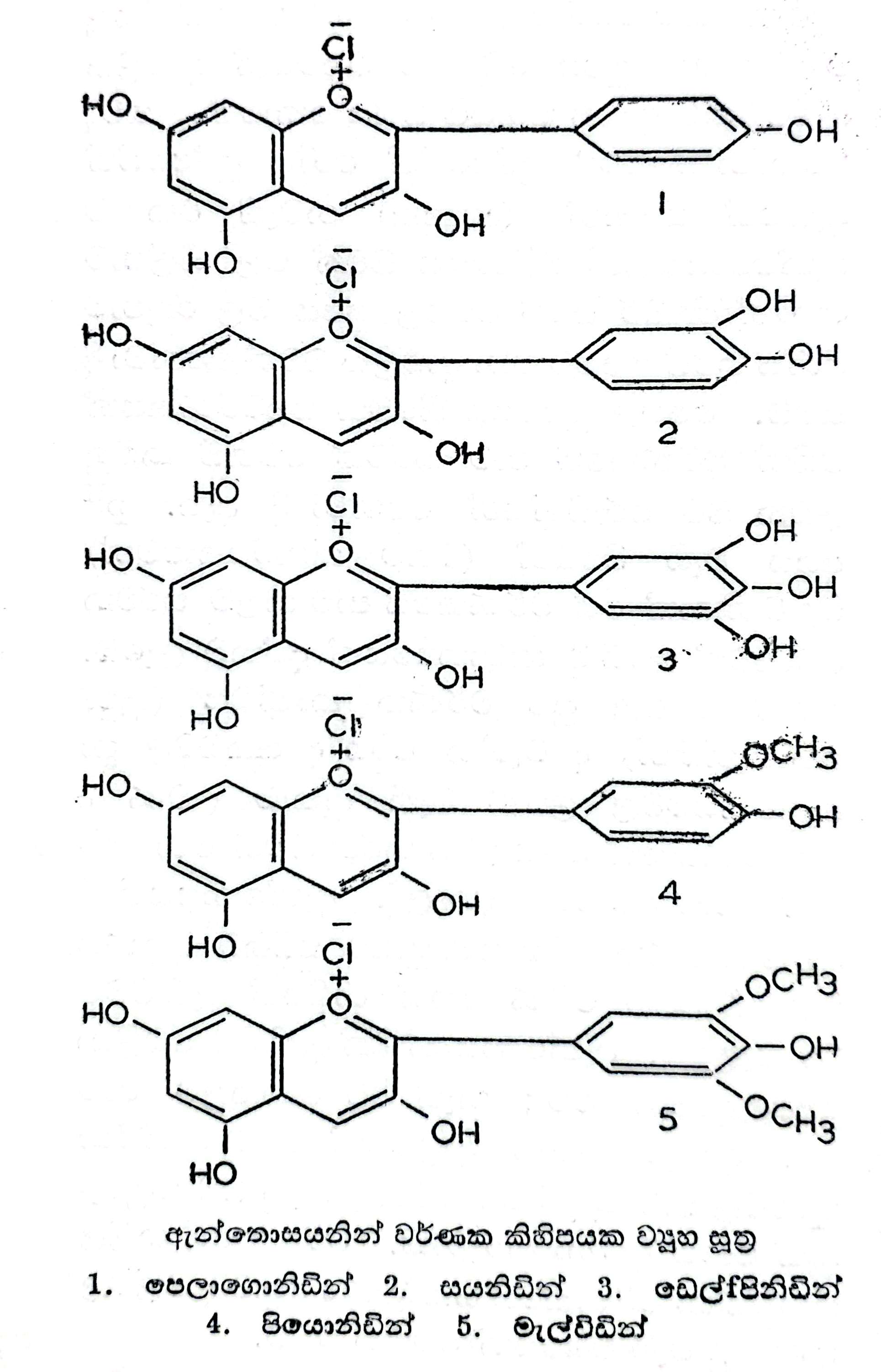 14:15, 3 දෙසැම්බර් 2025වන විට අනුවාදය සඳහා කුඩා-රූපය
