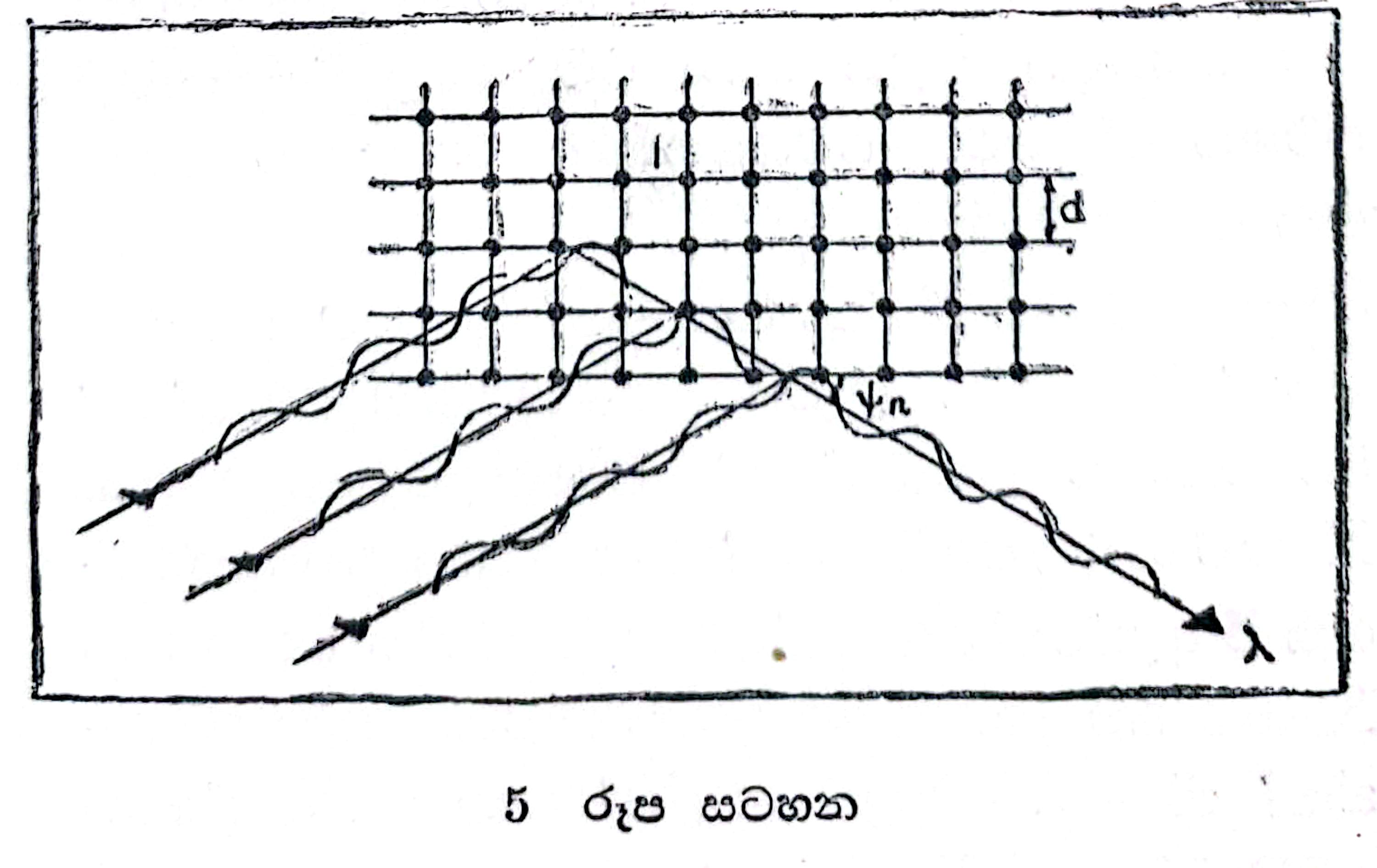 5-238.jpg