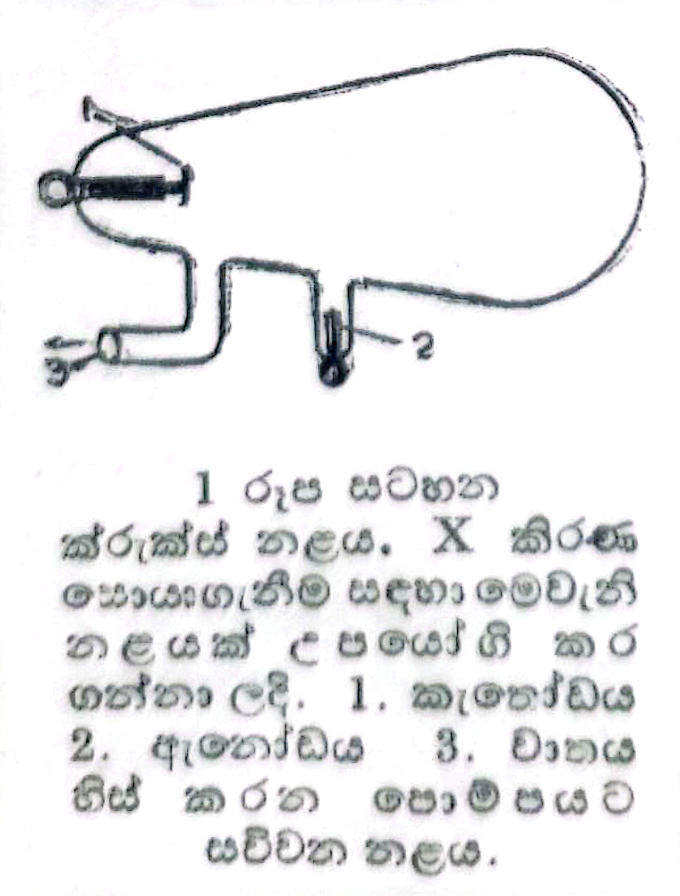 5-234.jpg
